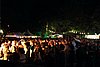 IMG_4945.JPG